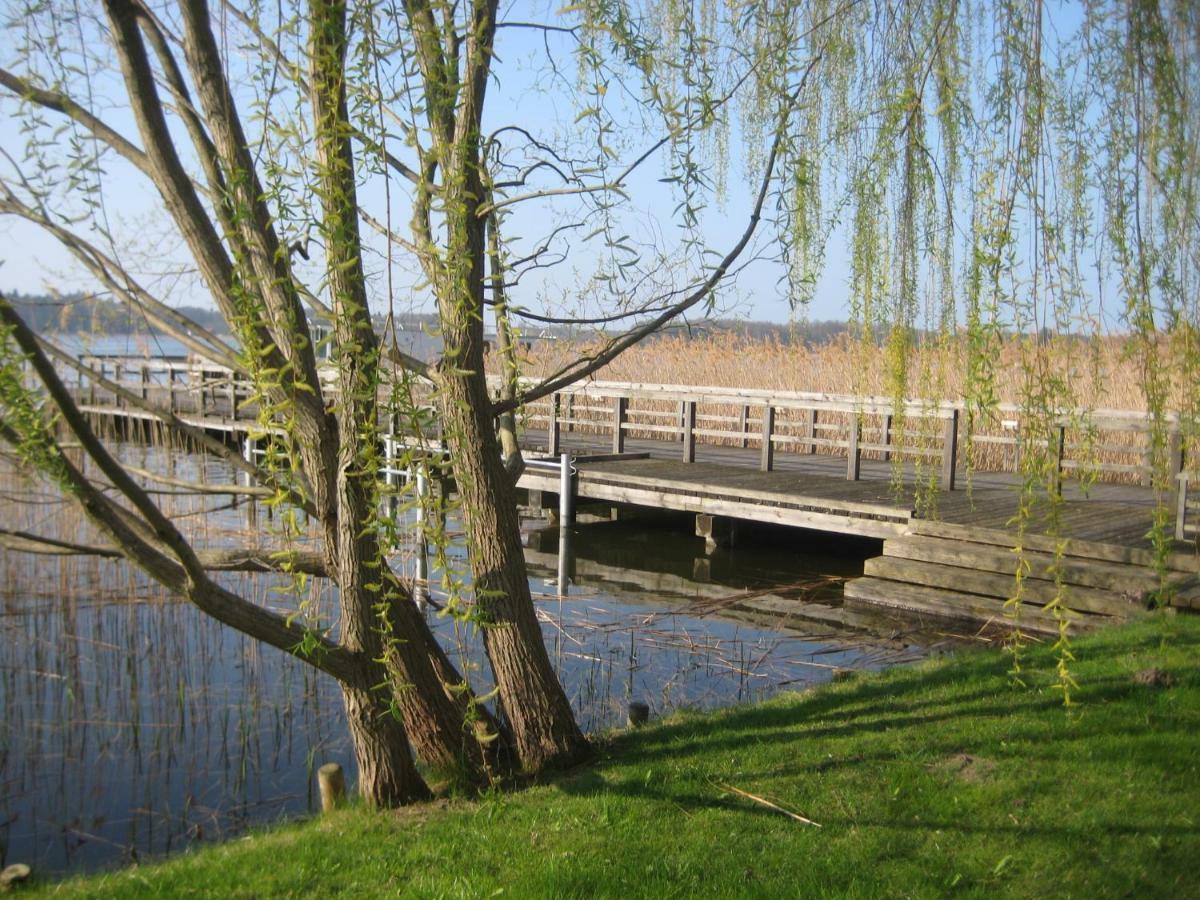 Schloss-Und Seeblick Apartment Rheinsberg Exterior photo